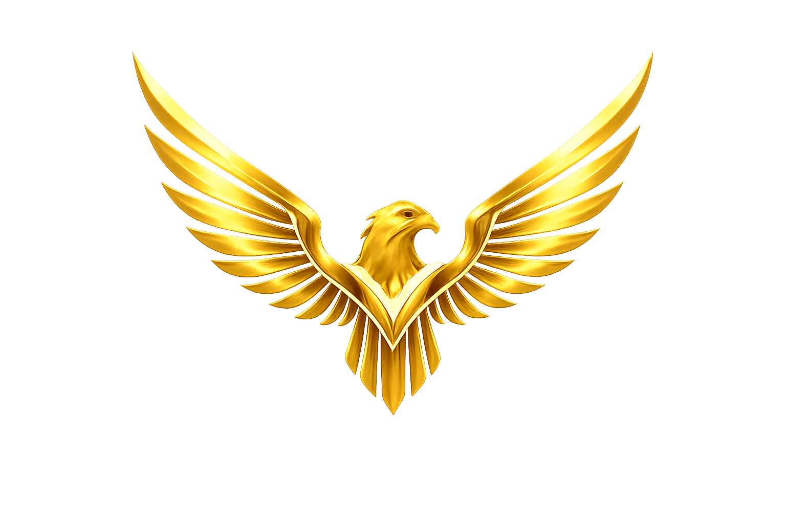 TonyQuy Marketing Agency